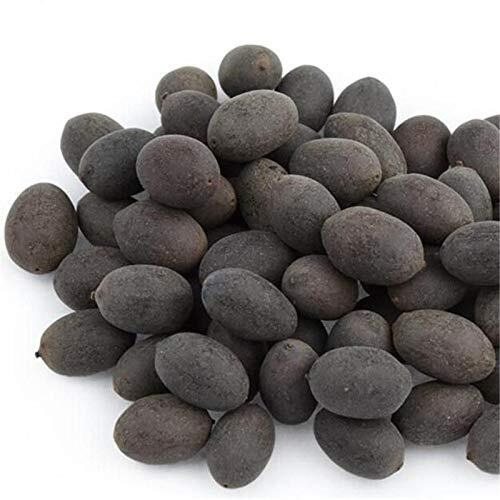 Rdk Natural Original Lotus Seeds Bead Rosary Kamal Gatta Jaapmala Making Beads For Meditation & Pooja Astrology Organic Jewellery - 51 Beads