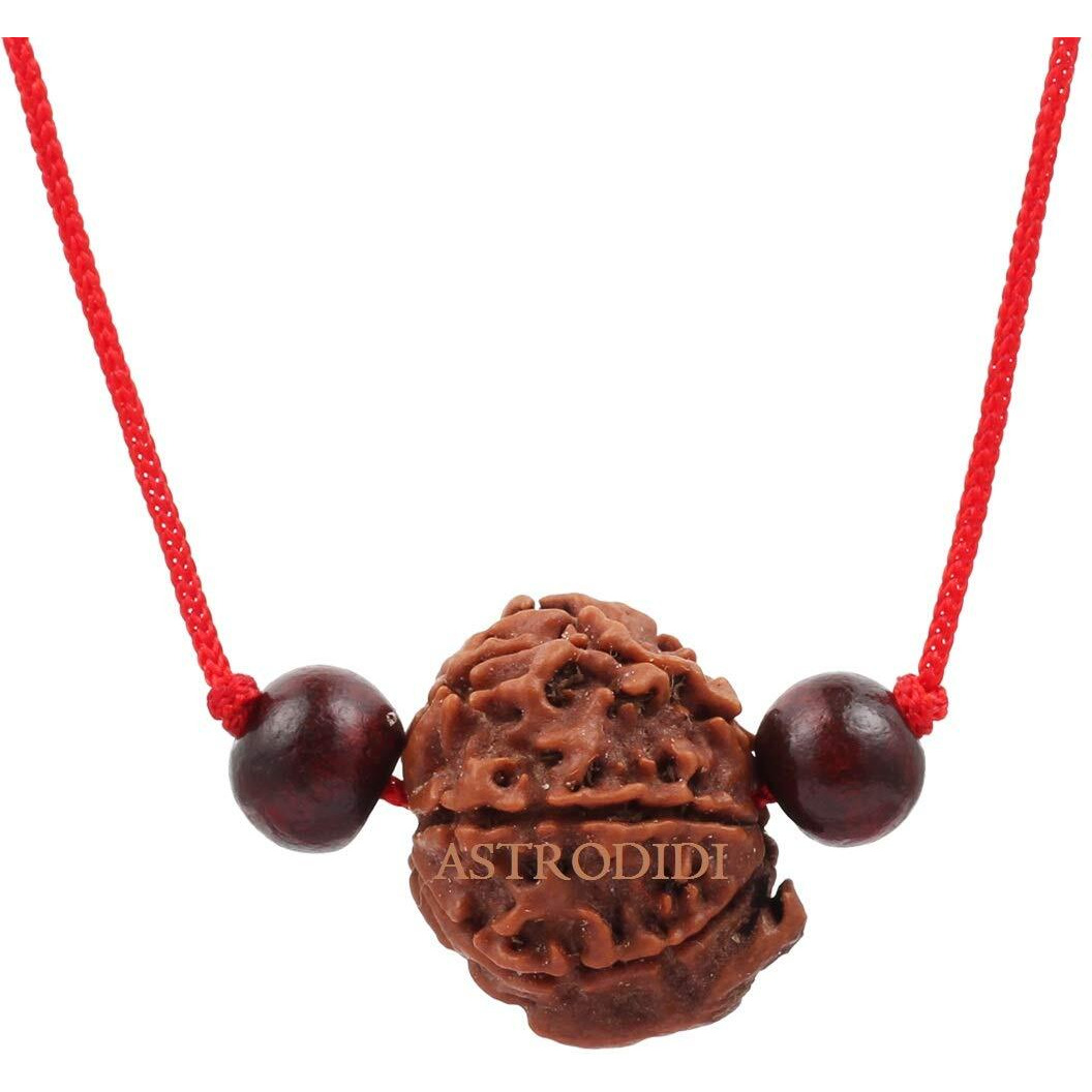 Astrodidi Nepali Ganesh Rudraksha With Red Chandan Beads