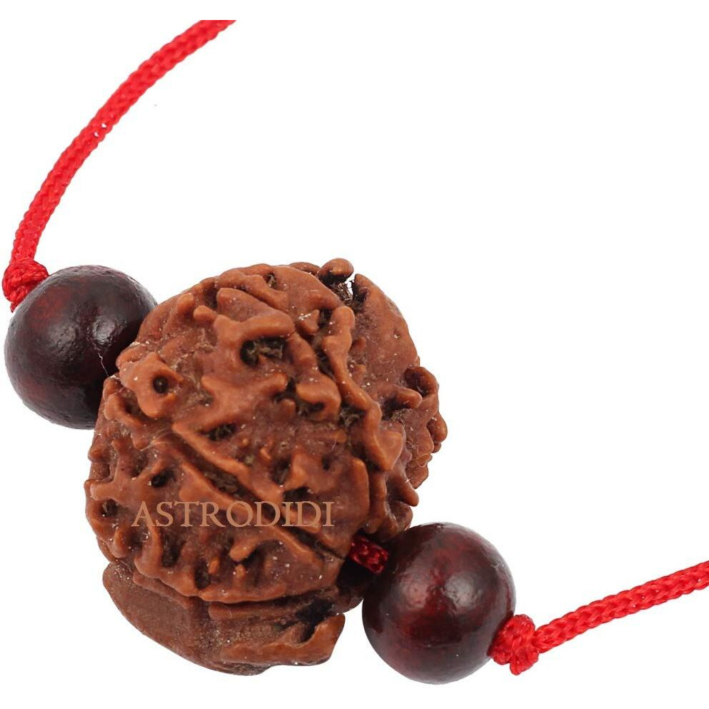 Astrodidi Nepali Ganesh Rudraksha With Red Chandan Beads