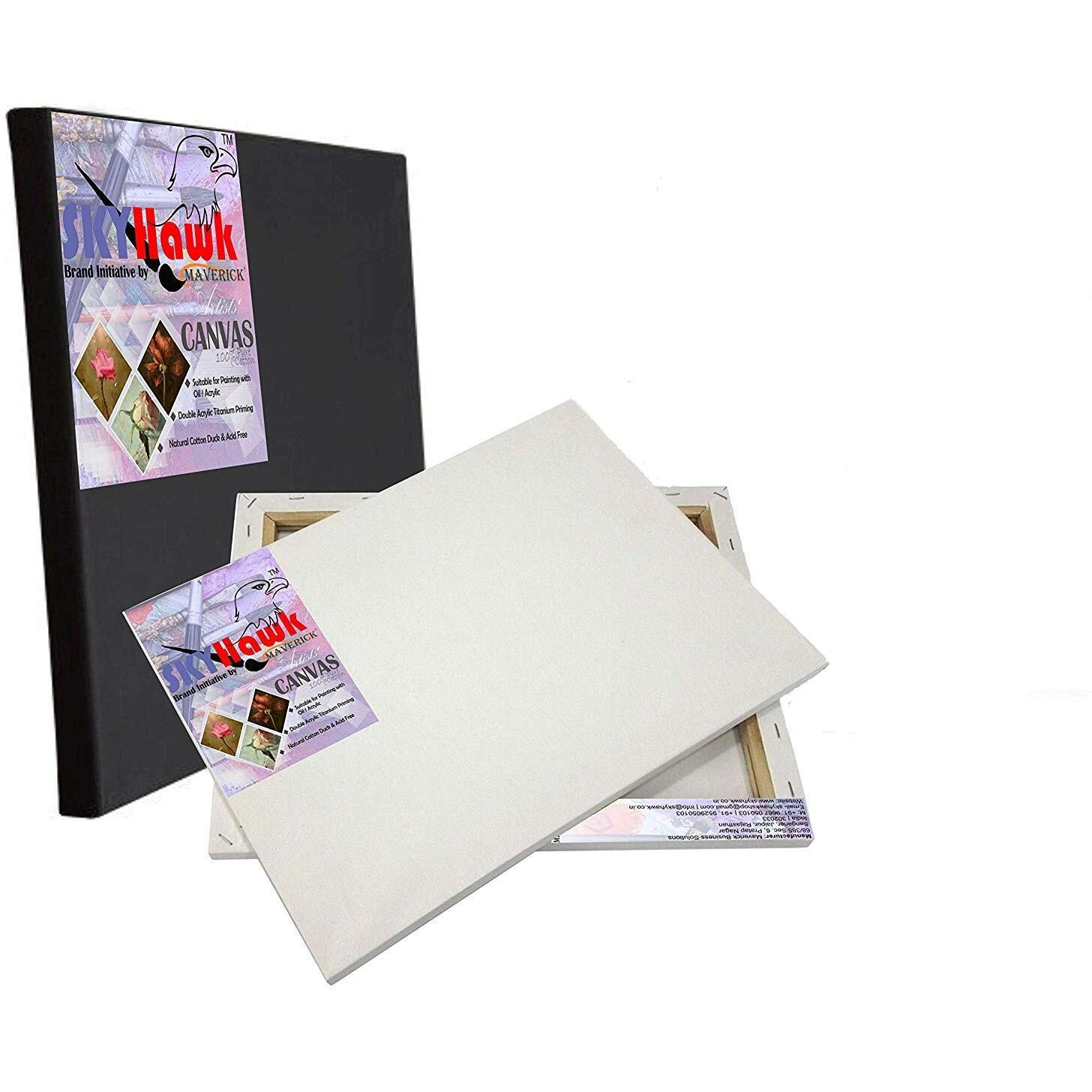 Skyhawk Cotton Medium Grain Stretched Canvas 10X10 (Set Of 4) (White & Black) (10 Oz)