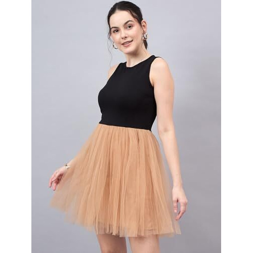 Style Quotient Women Black Beige Colourblocked Net Dress