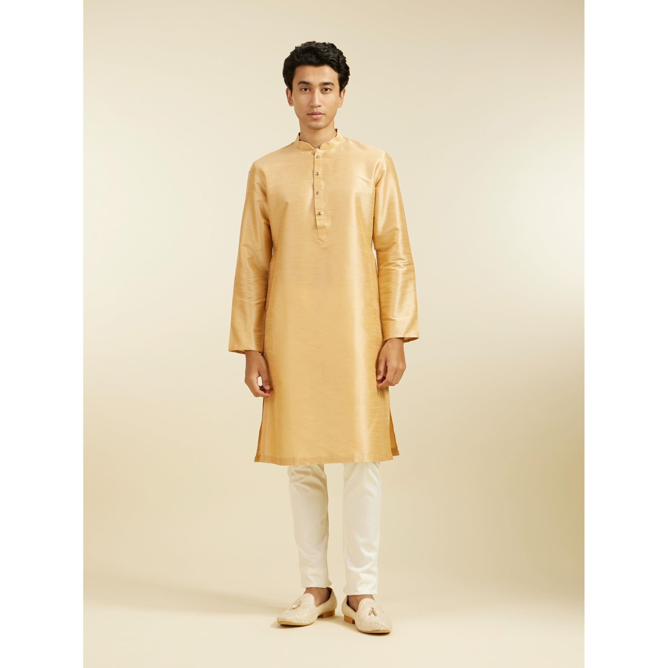 Diwas By Manyavar Men's Art Silk Solid Kurta (Fawn,L)