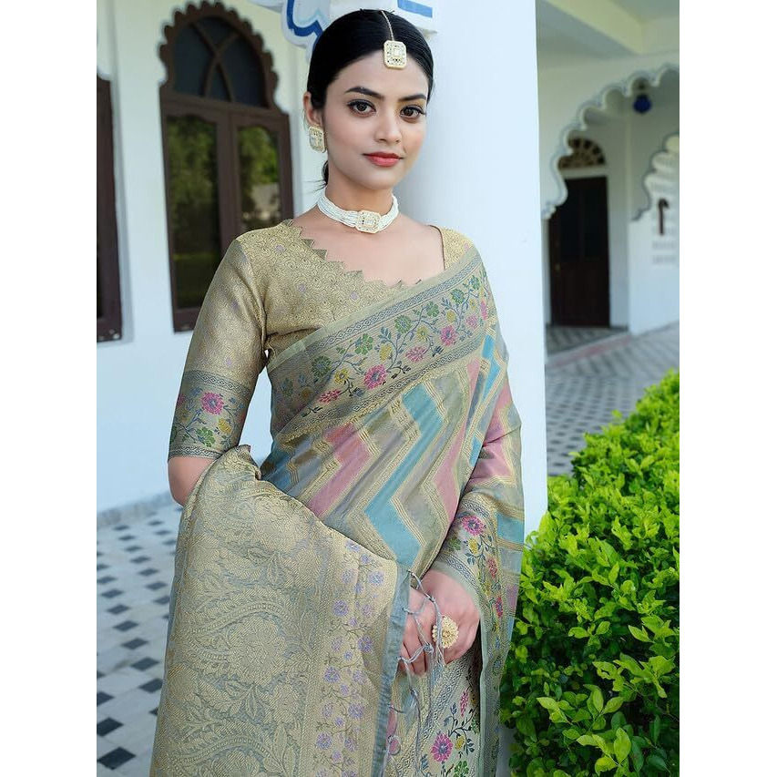 Satrani Women's Organza Banarasi Jacquard Saree With Unstitched Blouse Piece (3086S142N_Light Grey)