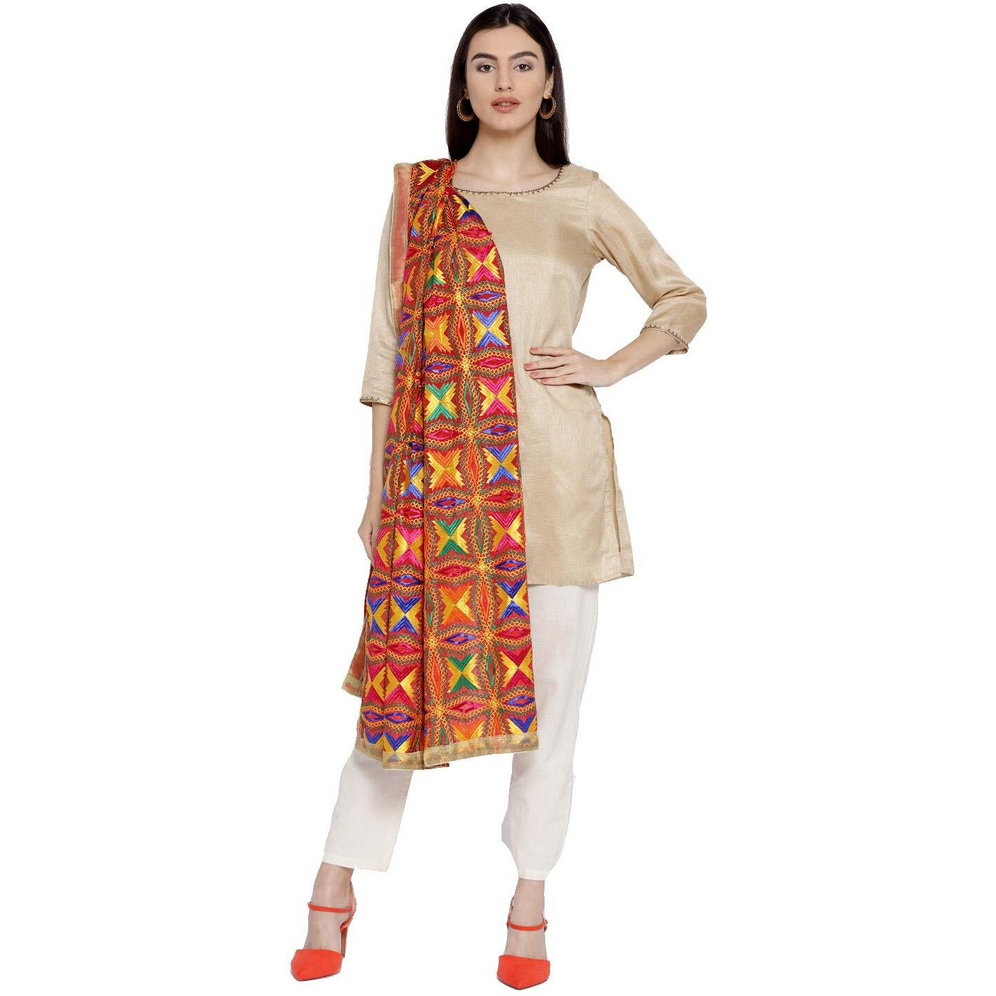 Weavers Villa Women's Heavy Phulkari Multicolored Embroidery Dupatta.. (Multi-3)