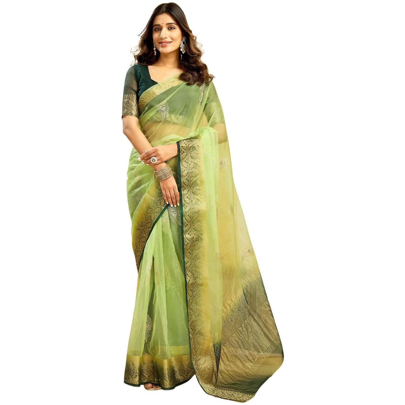 Satrani Women's Organza Sequins Embroidery Jacquard Saree With Unstitched Blouse Piece (4031S657N_Light Pista Green)