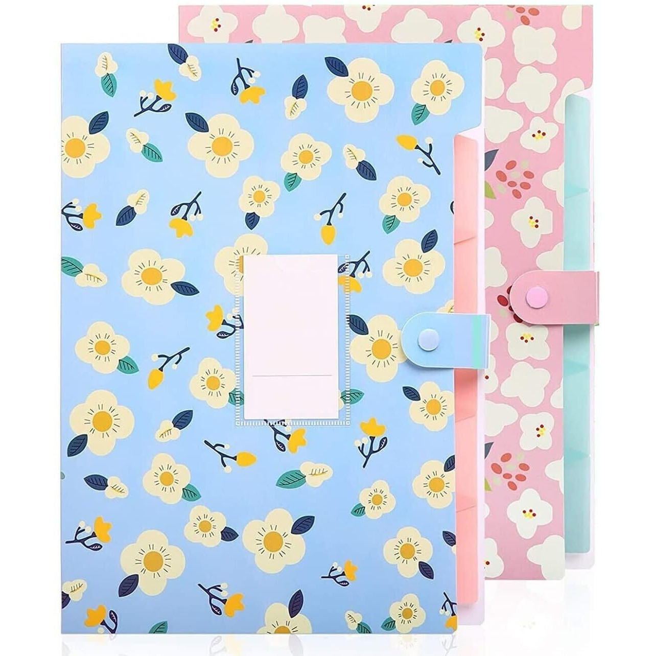 Corslet Certificate Expanding File Folders for Documents Large Size A4 Paper Holder Organizer School Office Home Multicolor with 5 Pockets (2-Pack)