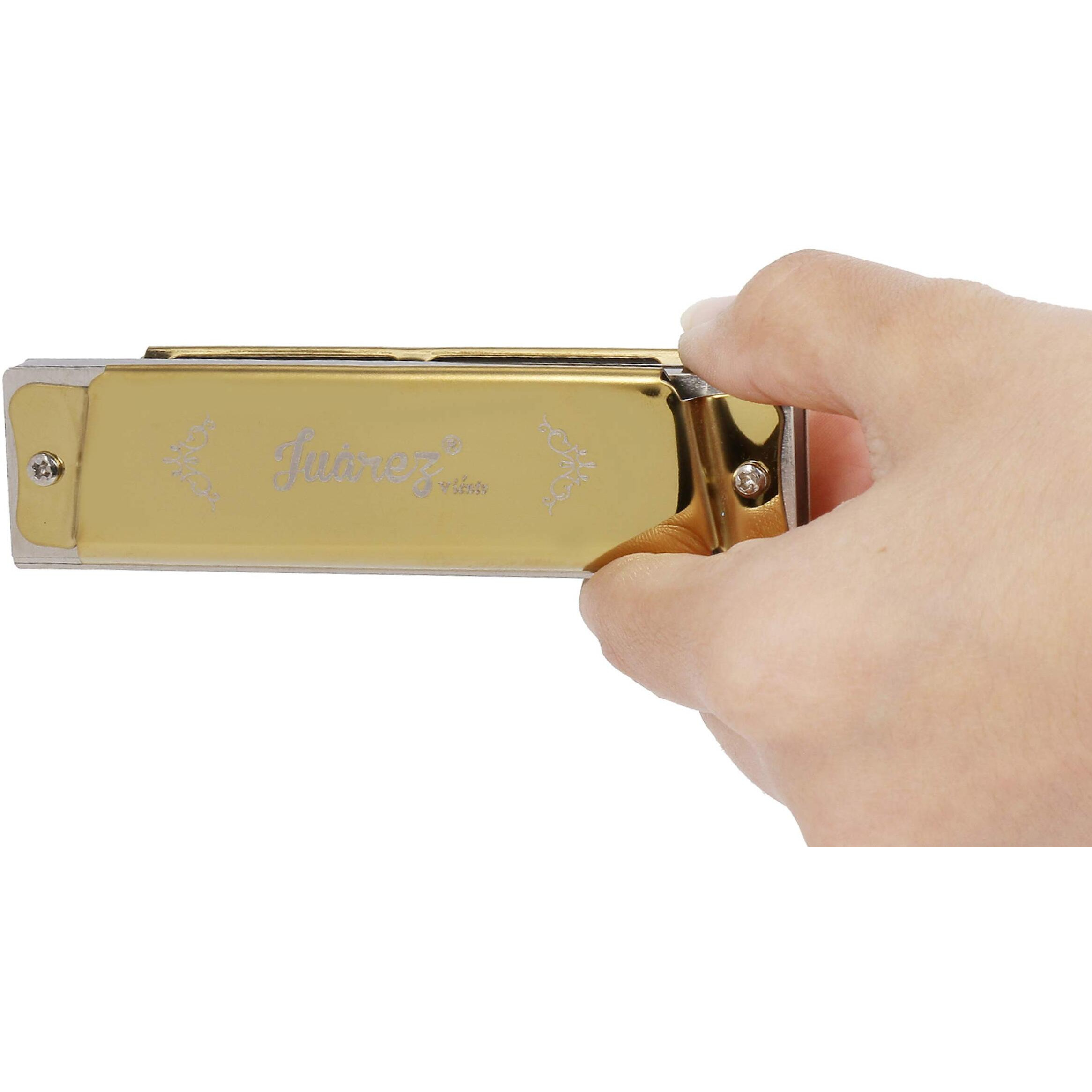 JUAREZ JRH10VGD Harmonica 10 Holes | Mouth Organ | Cover  Stainless Still | Comb - ABS | Reed - Phosphor Bronze with Case