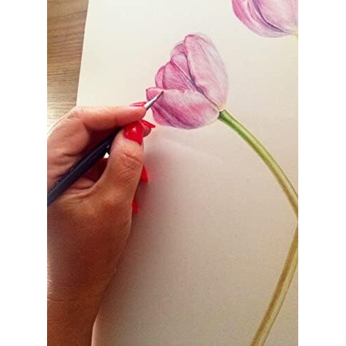 Brustro Artists Watercolour Paper | 300 Gsm, A5, 25% Cotton, Cold Pressed | Pack Of 24 Sheets | Ideal For Artist, Professional Drawing, Painting Dry & Wet, Fine Art, School, Students, Watercolor