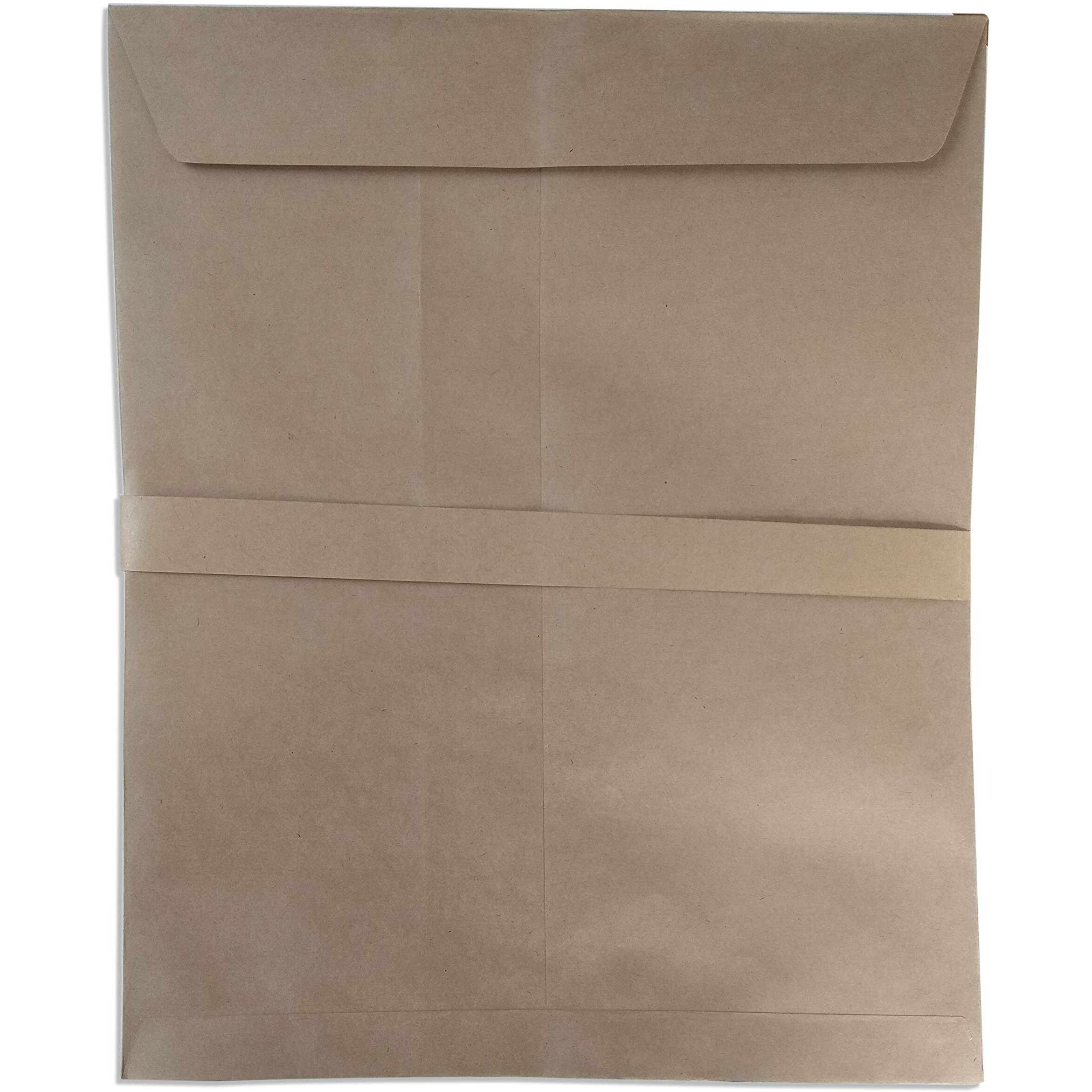 Accuprints Brown Envelope Large | Pack Of 50 | A4 Size Envelope | 10 X 12 Inch