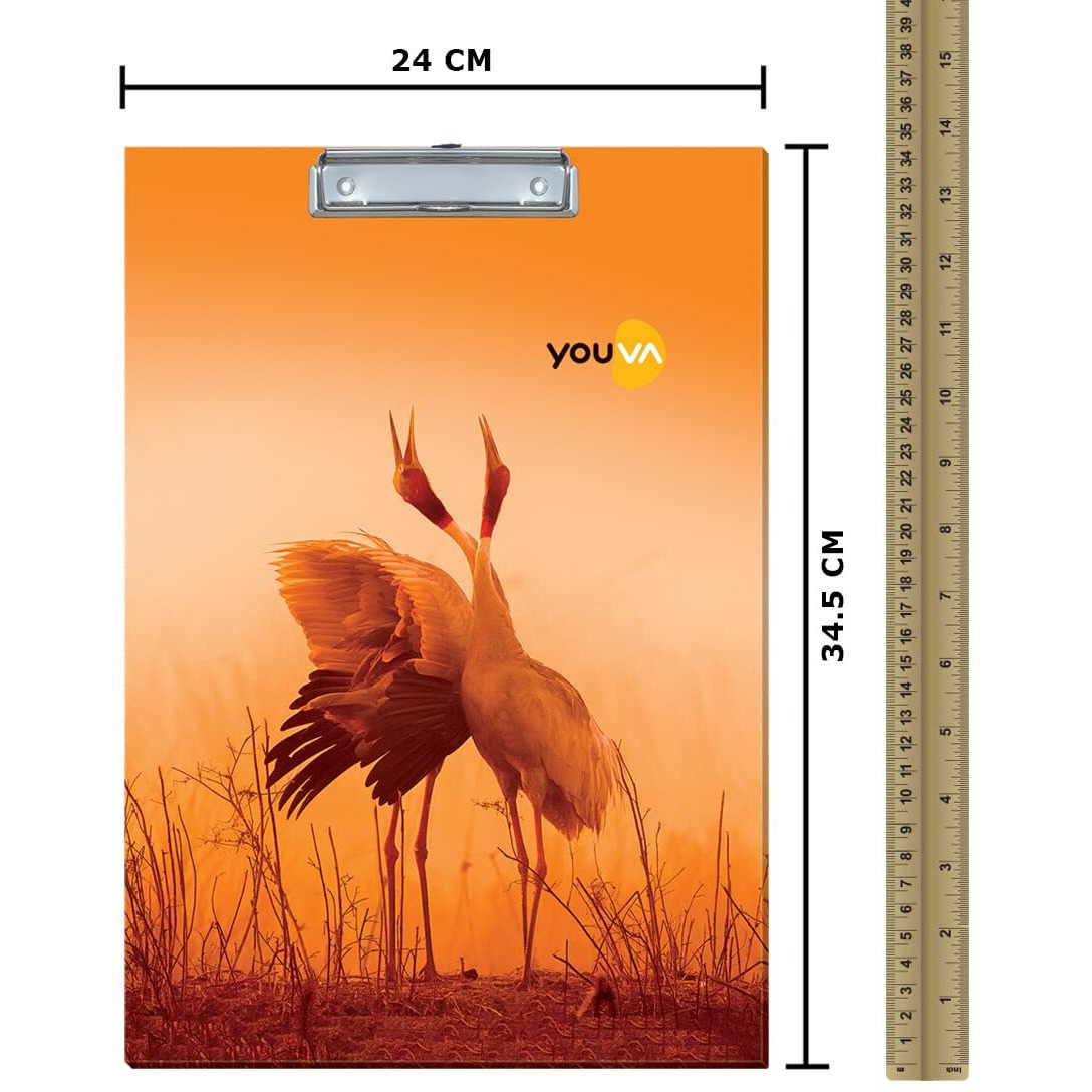 Navneet Youva | Regular Exam Board For Students | Clip Board | Foolscap Size - 24 Cm X 34.5 Cm | Pack Of 12