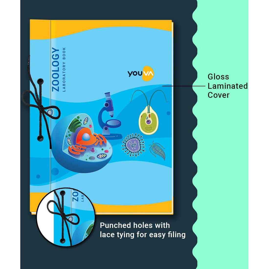 Navneet Youva | Hard Bound | Zoology Laboratory Book | 21X28.5 Cm | Unruled | 58 Pages | Pack Of 3