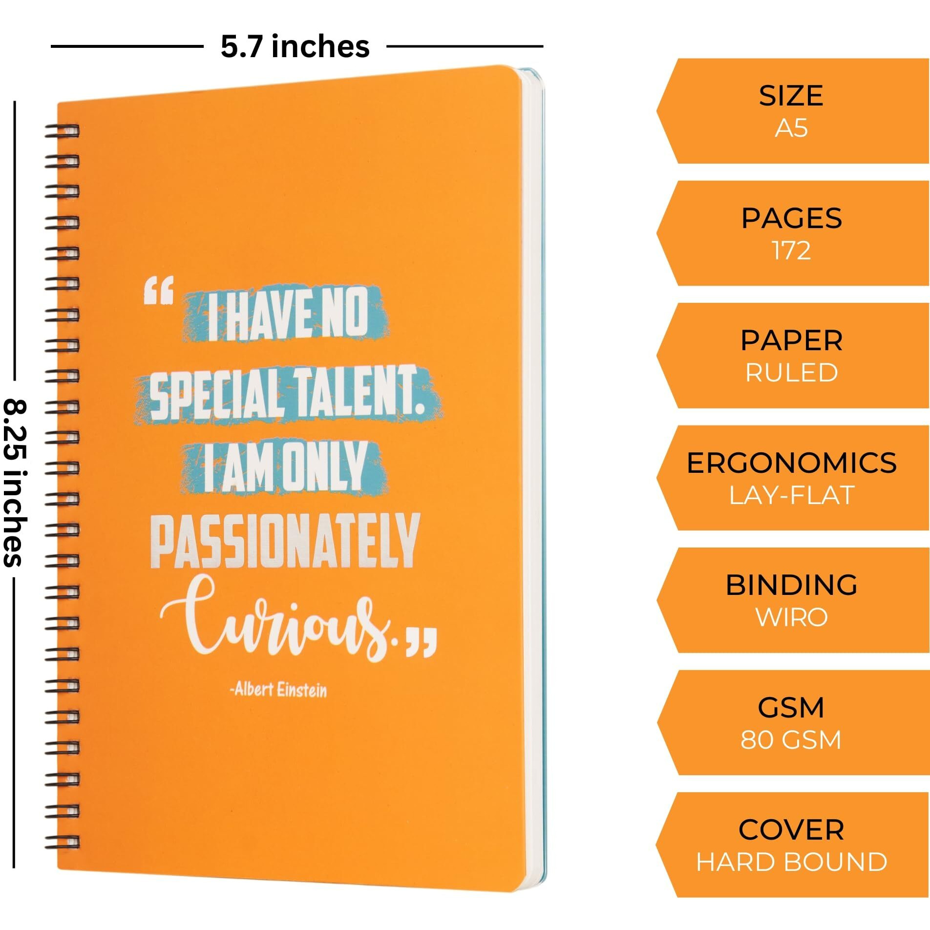 Doodle Undated Daily Planner | A5 | 172 Pages | 80 Gsm | 3 Months Schedule, To-Do List, Daily Priorities, Appointments, Deadlines, Water Tracker, Goals - Curious Mind