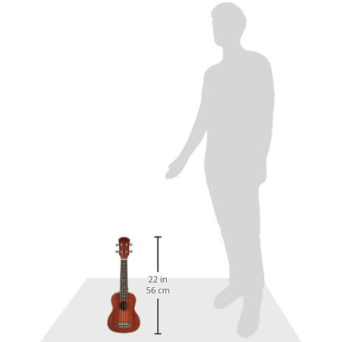 Intern Soprano Ukulele Guitar With Bag (Ash)