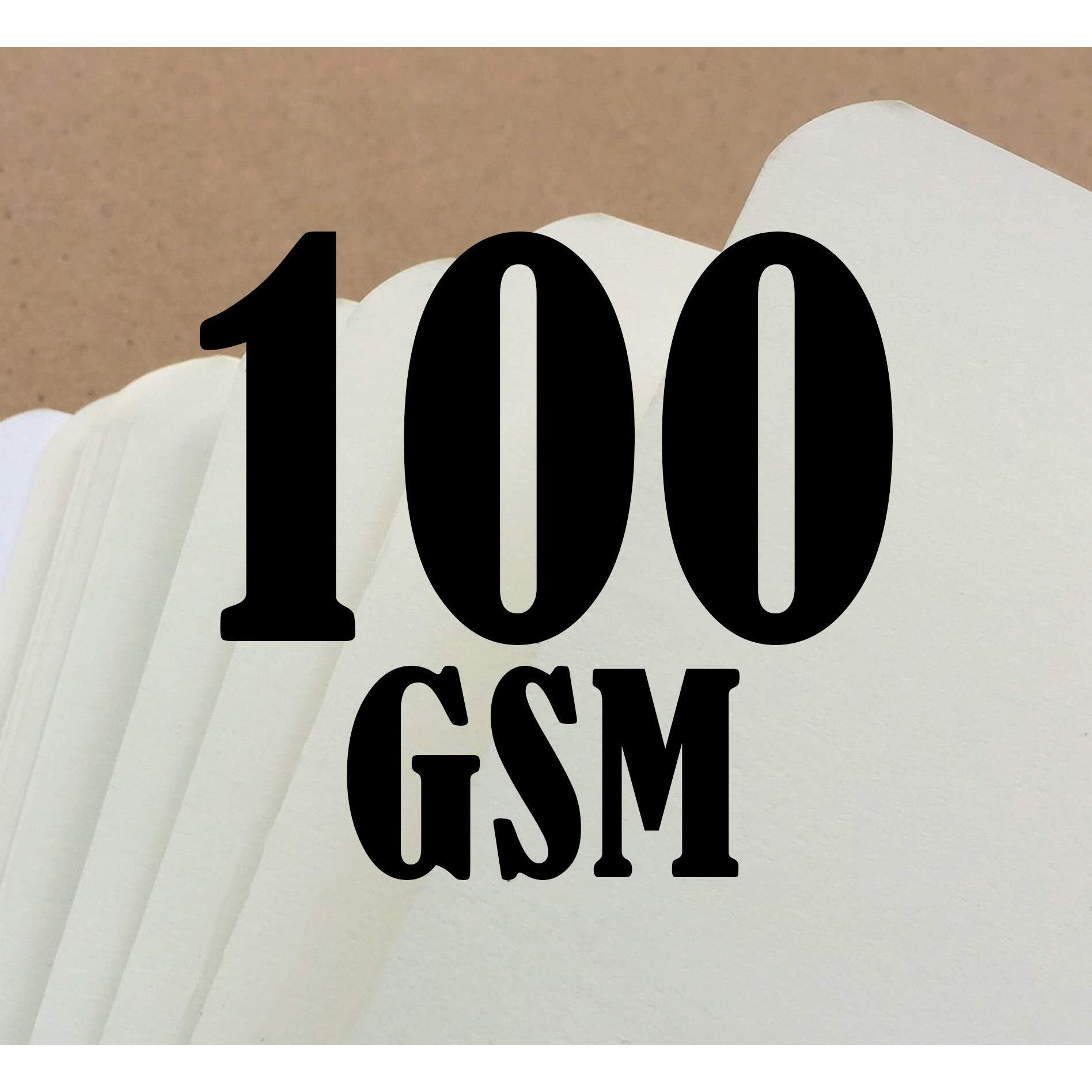 Factor Notes Notebook 100 Gsm Natural Shade Paper Journal Diary, A5, 144 Pages (The Pastel Mint Roses, Plain)