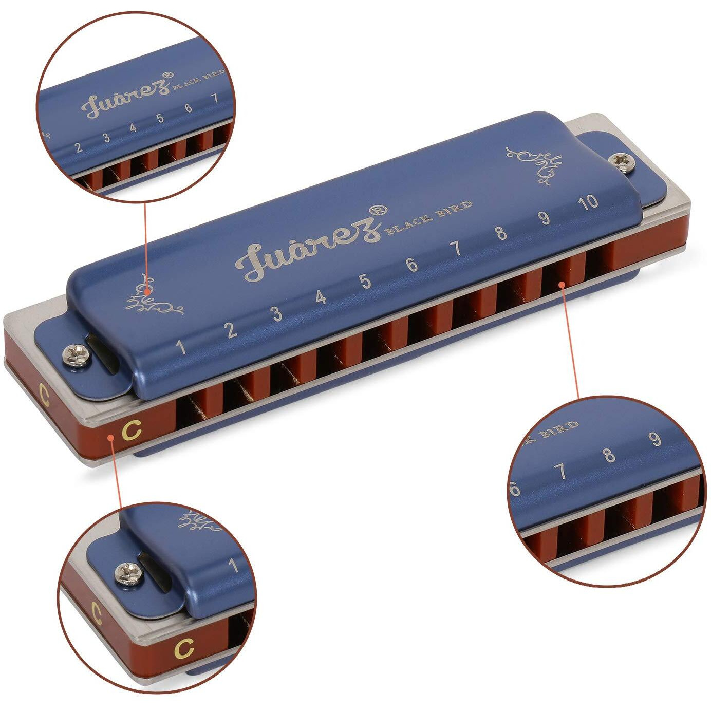 Juarez Blackbird Jrh10Bl Diatonic Professional Blues Harmonica Key Of C Scale | 10 Holes 20 Tones | Mouth Organ | Cover - Brass | Comb - Abs | Reed - Phosphor Bronze With Cloth & Case Blue