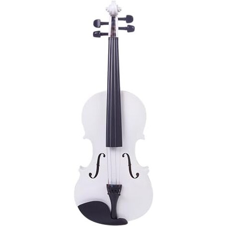 Juarez Legn Full Size 4/4 Violin Kit, Jrv100Wh With Bow, Rosin, Fretboard Sticker, Mute, Bridge, Oblong Case, White