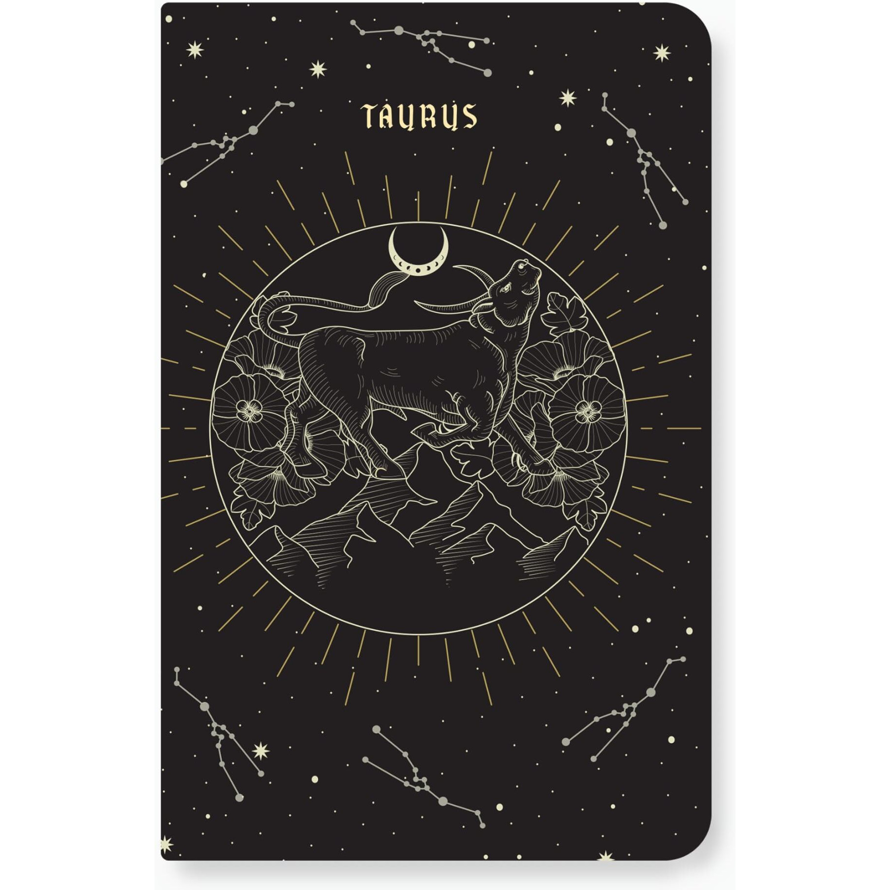 Factor Notes A5 Notebook Ruled | 90 Gsm | 160 Pages(Taurus)