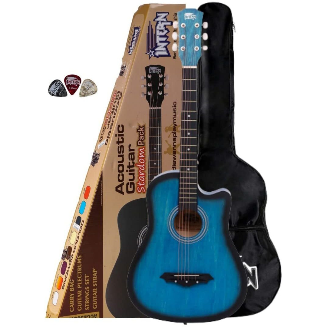 Acoustic Guitar Kits (Lite Package Matt Guitars, Blue)