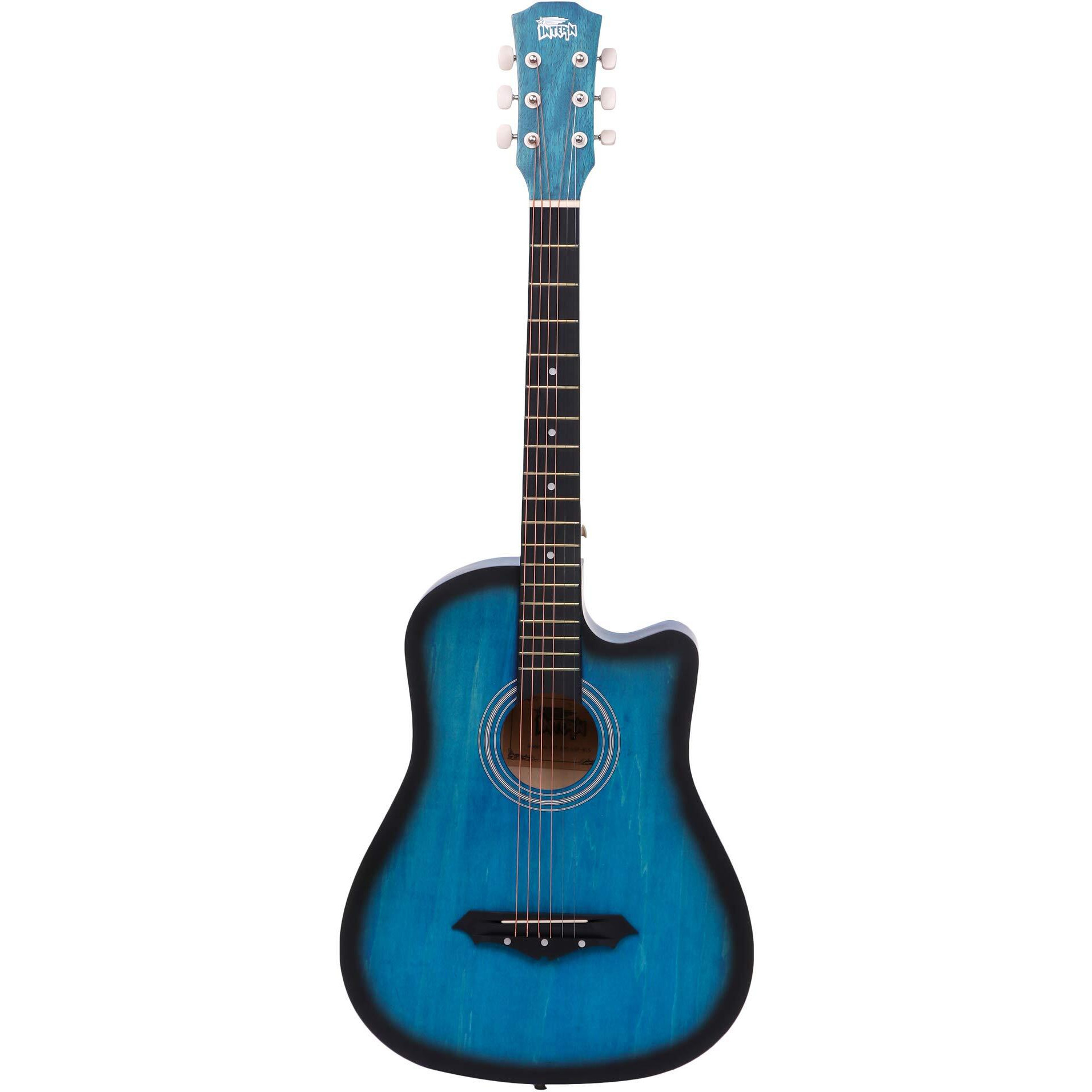 Acoustic Guitar Kits (Lite Package Matt Guitars, Blue)