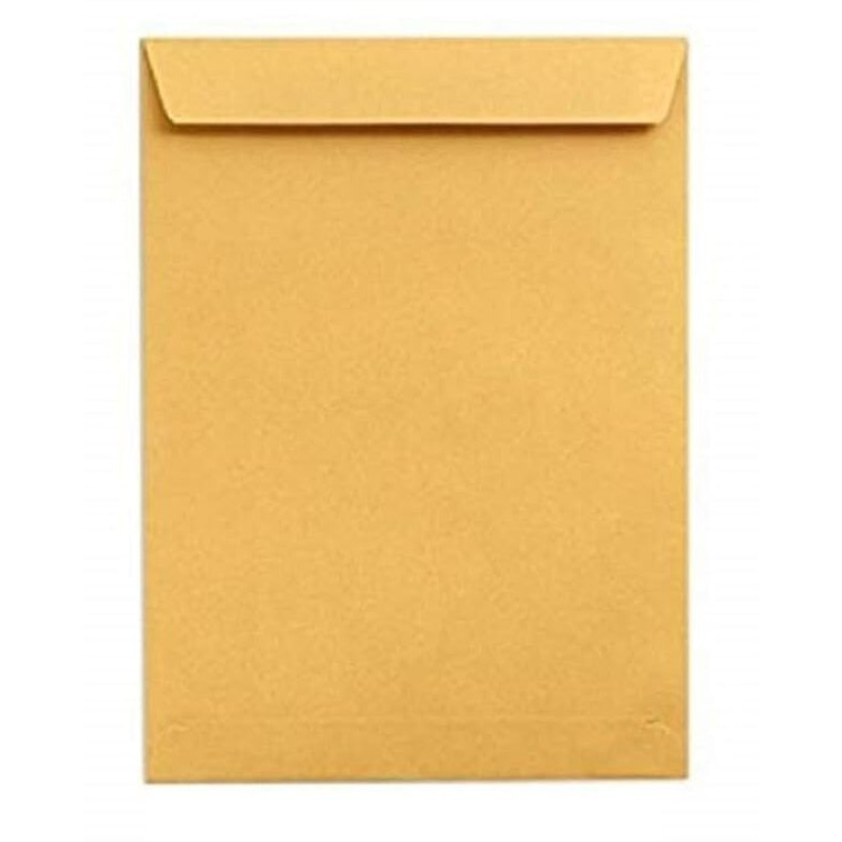 True-Ally Laminated Yellow Paper A4 Size Envelope, Poly Laminated Inside,10 X 12 Inch (25)