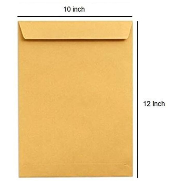True-Ally Laminated Yellow Paper A4 Size Envelope, Poly Laminated Inside,10 X 12 Inch (25)