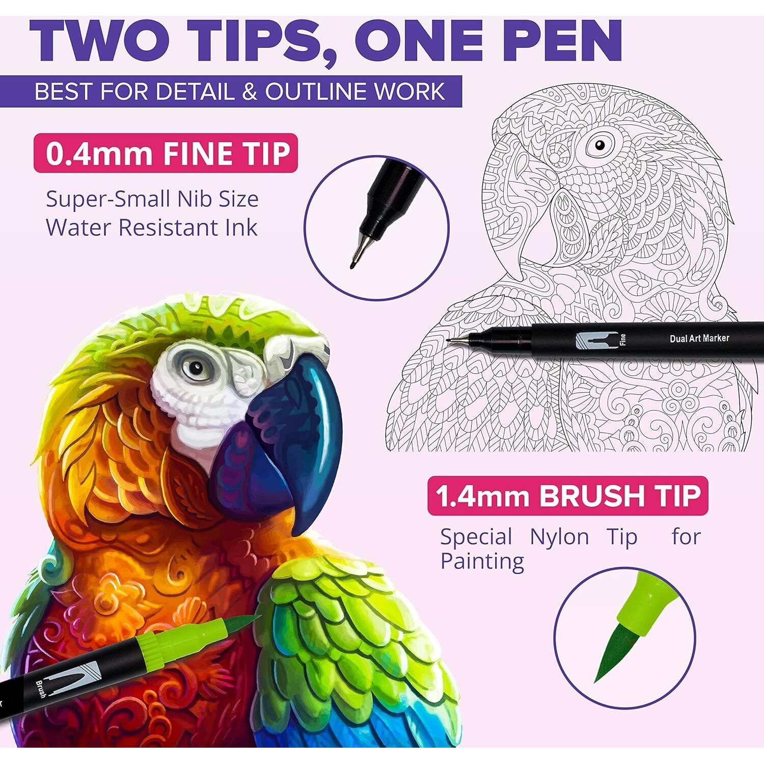 Corslet 24 Pcs Dual Tip Brush Pens Calligraphy Brush Pen Sketches Fineline Coloured Pen Brush Colour For Coloring Drawing Sketching Artists Students (Marker Pen Set 12 Pcs (Pack Of 2))