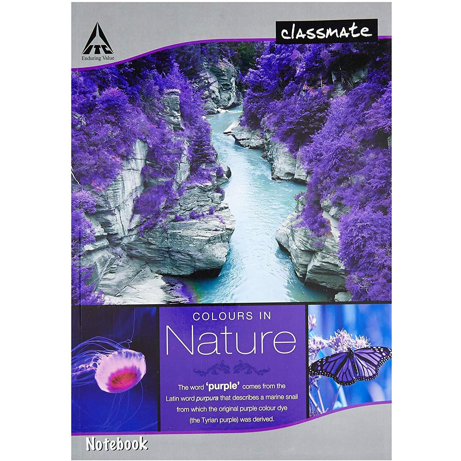 Classmate Longbook - 304 Pages | Single Line | 29.7cm x 21.0cm | Pack of 6 Notebooks | Ruled Long Size Notebook for School Students