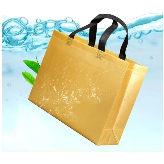 Satyam Kraft 6 Pcs Bag Goodie Bags With Handle Gift Bag, Carry Bags, Gift Bag, Gift For Gifting, Return Gifts, Diwali Gift, Birthday,Festive, Wedding, Festivals, Events(44 X 35 Cm)(Golden)
