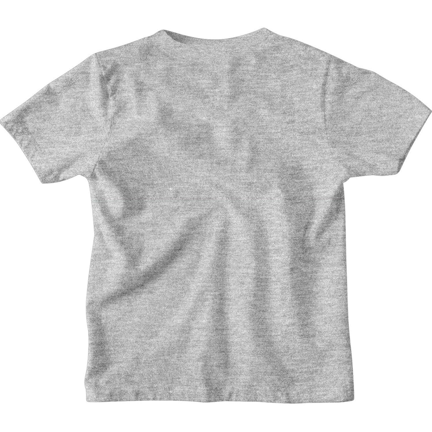 Bon Organik Boy's Regular Fit T-Shirt (Bon11017_Grey