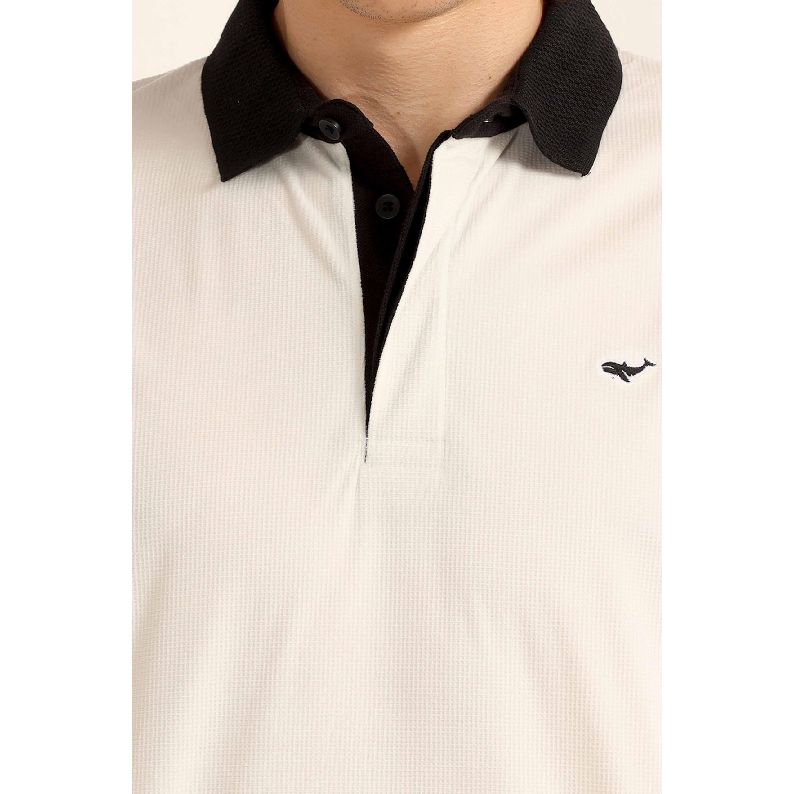 Be Active Men's Casual Polo Tshirt With Contrast Collar|| Tshirt For Men || Tshirt For Men Stylish || Tshirt For Men Polo (Ptp0002 2 L)