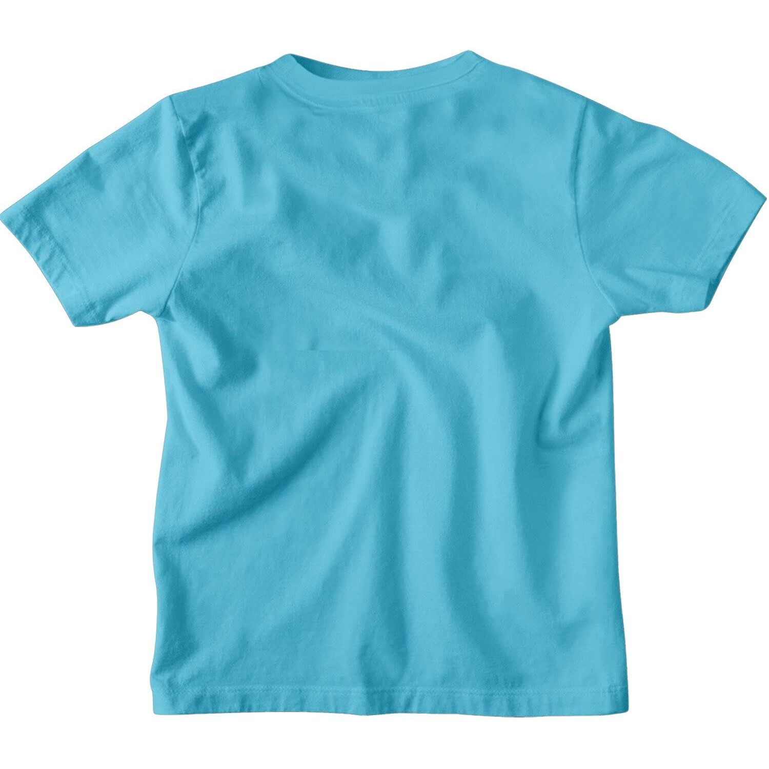 Bon Organik Boy's Regular Fit T-Shirt (Bon12163_Blue