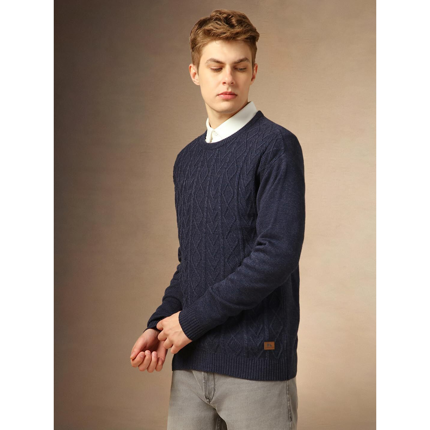 Dennis Lingo Men Regular Fit Acrylic Full Sleeves Solid Sweaters