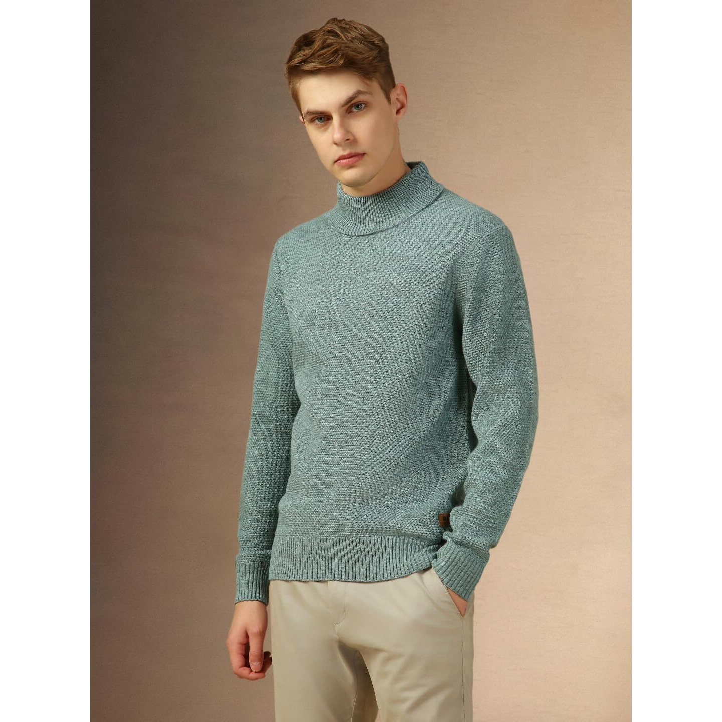 Dennis Lingo Men Purple Solid Slim Fit Full Sleeve Turtle Neck Pullover Sweater