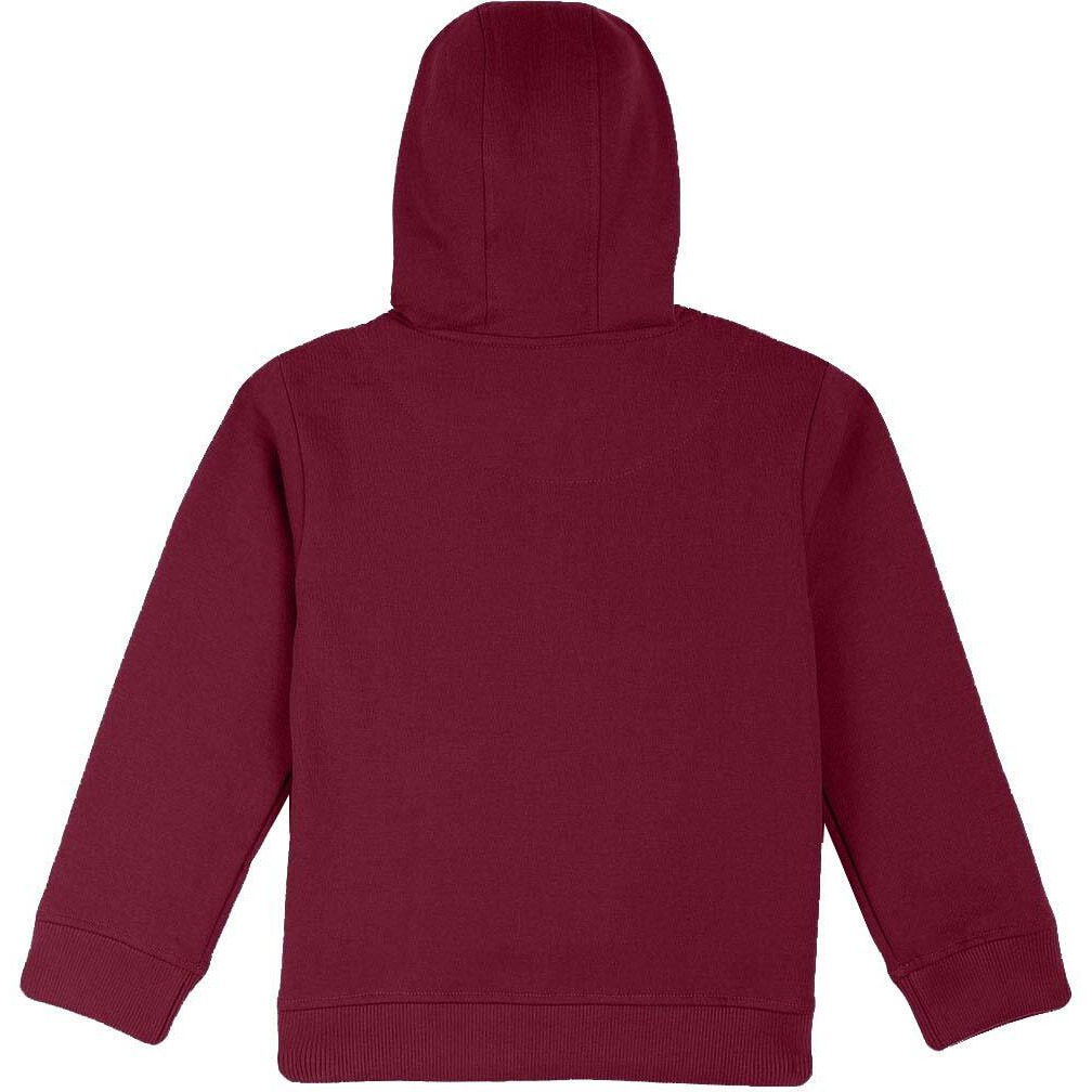 Naughty Ninos Unisex Cotton Hooded Neck Hoodie (New0120Tst-34_Maroon_3 Years-4 Years)