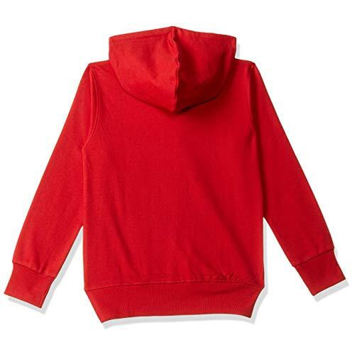 T2F Boy's Cotton Hooded Neck Sweat Shirt (Bys-Ss-05_Multicolor_7-8 Years_Red_7 Years-8 Years)