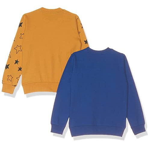 T2F Boy's Cotton Crew Neck Sweatshirt (Bys-Rn-Ss-01_Multicolor 3_11-12 Years)
