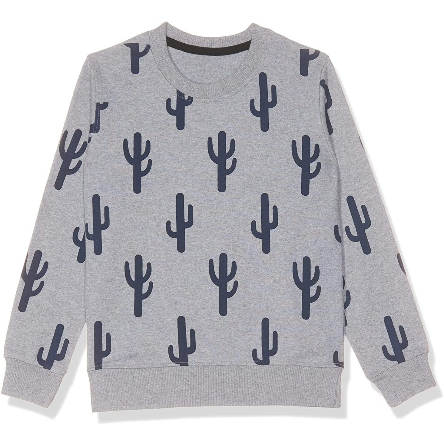 T2F Boy's Cotton Crew Neck Sweatshirt (Bys-Rn-Ss-01_Multicolor 1_13-14 Years)