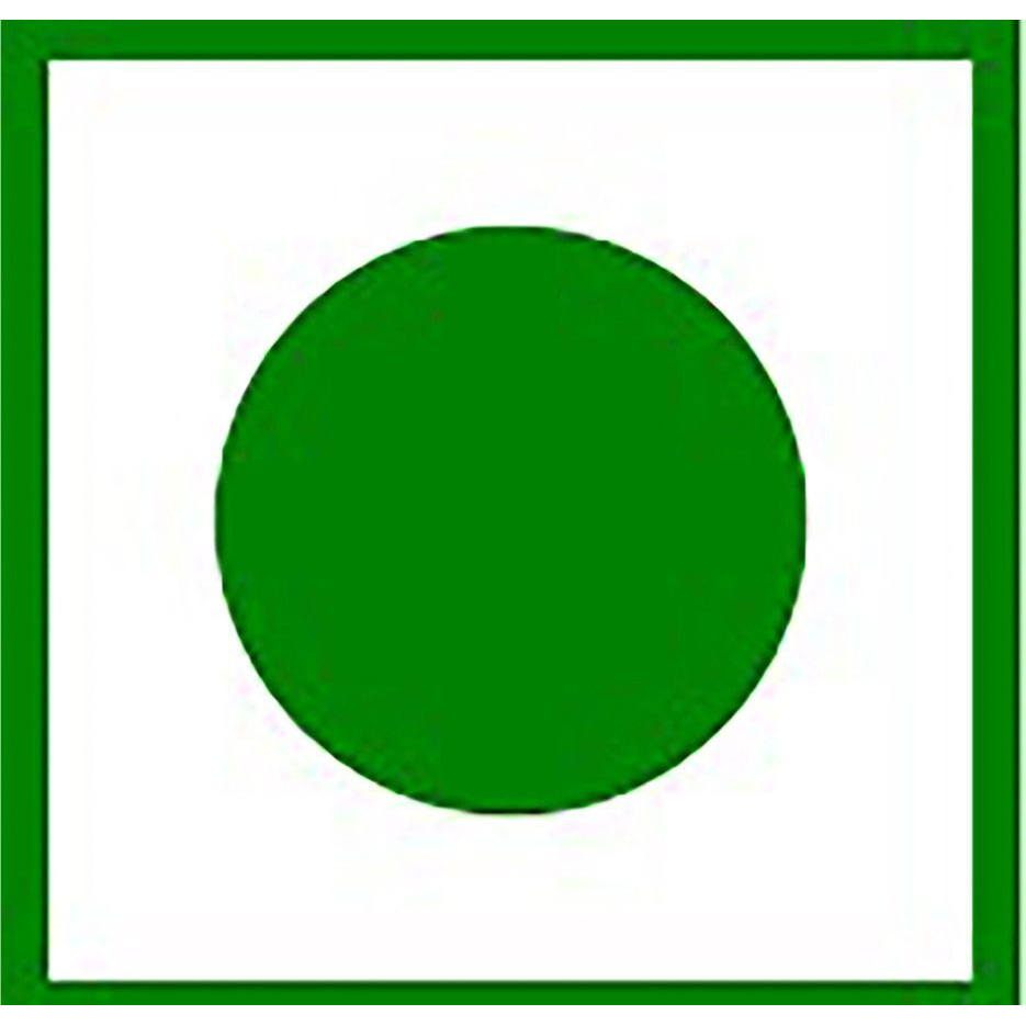 TummyFriendly Foods Ragi Millet Cookies - Coconut. Healthy Biscuits for Kids, Babies & Adults Cookies Biscuit (75 g)