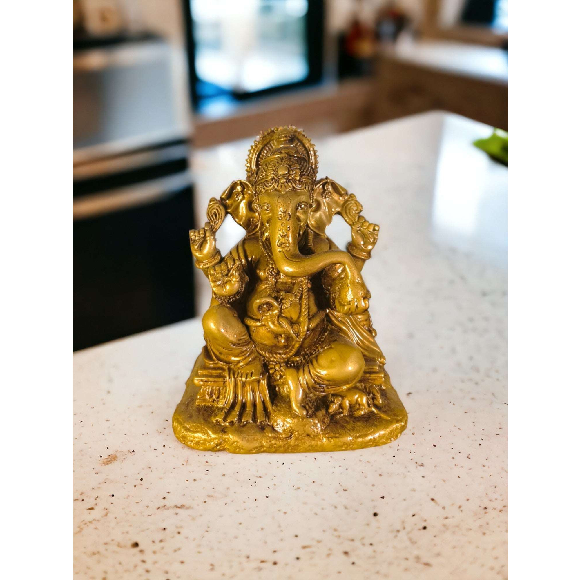 Ganesh Ji Nageshwar - Office & Home