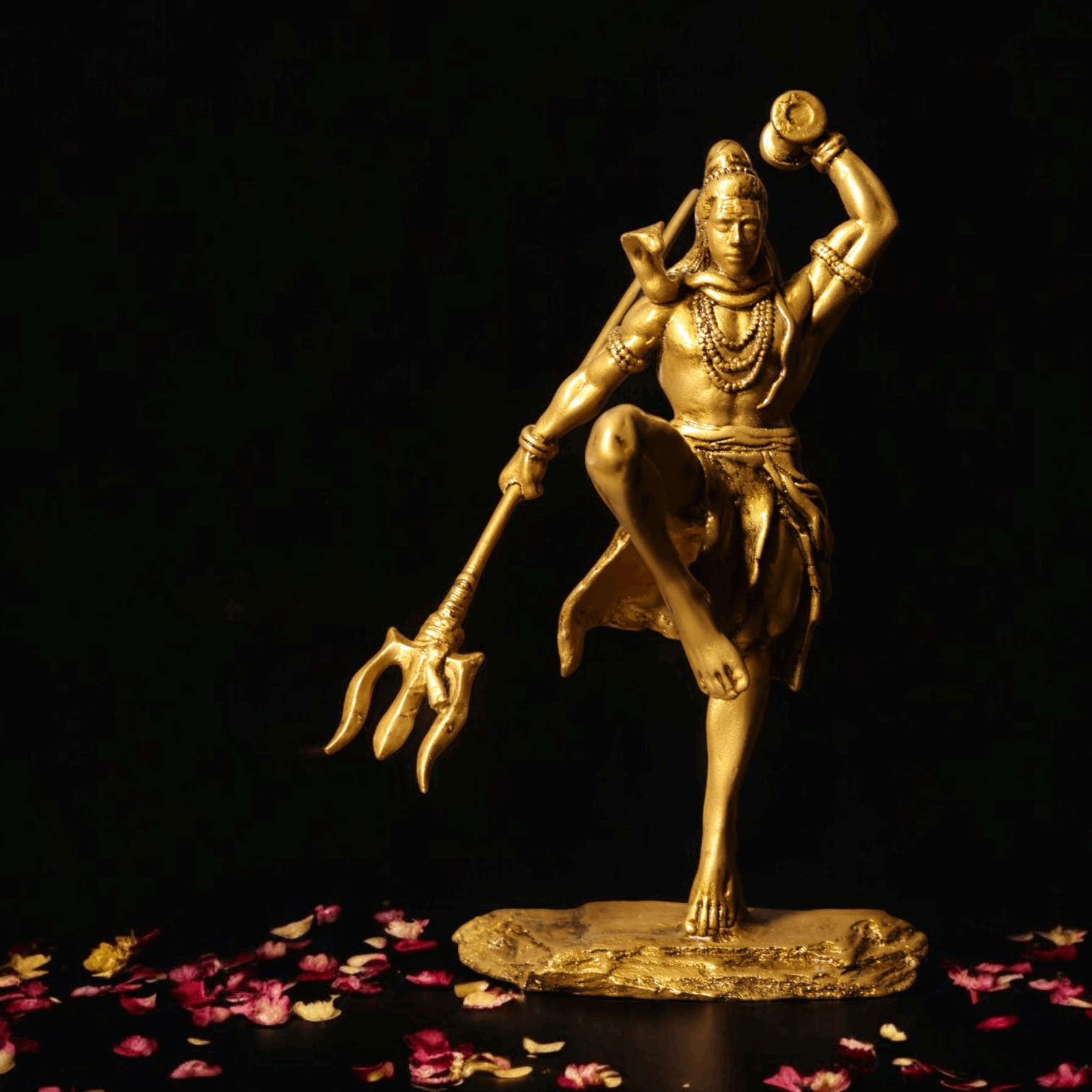 Shiv Ji Nirtya - Divine Dance