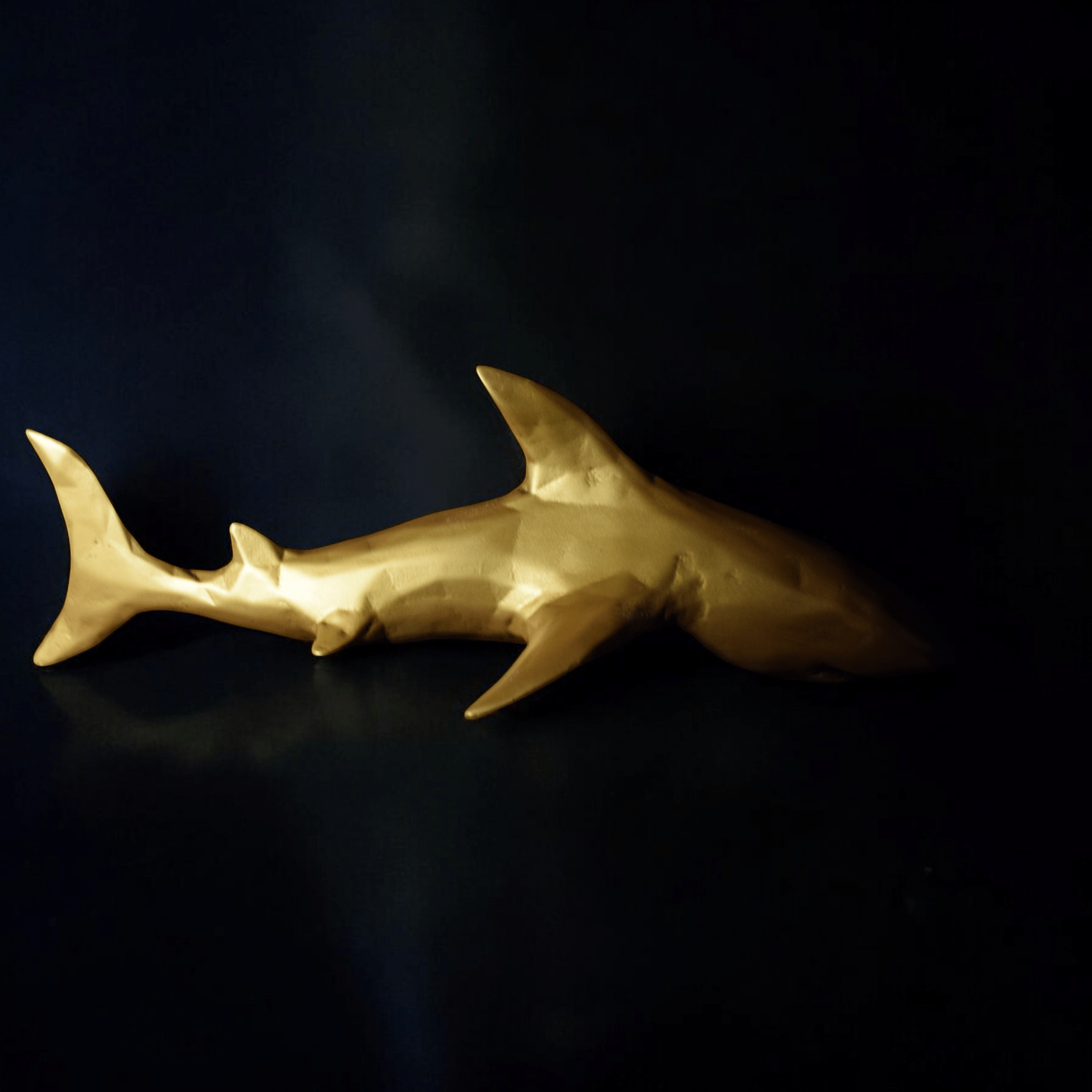 Office Decor Shark - Give your Startup a Shark Energy,Lock your target