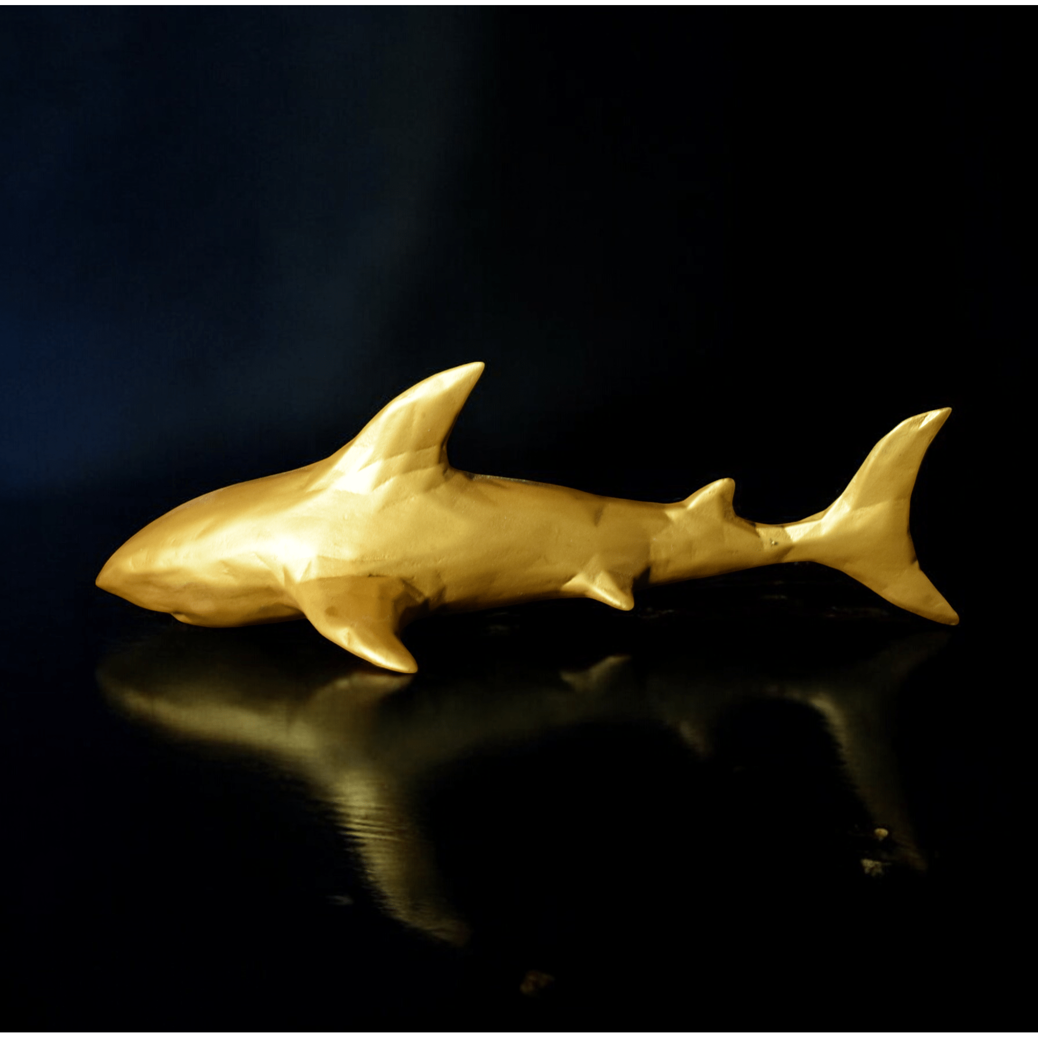 Office Decor Shark - Give your Startup a Shark Energy,Lock your target