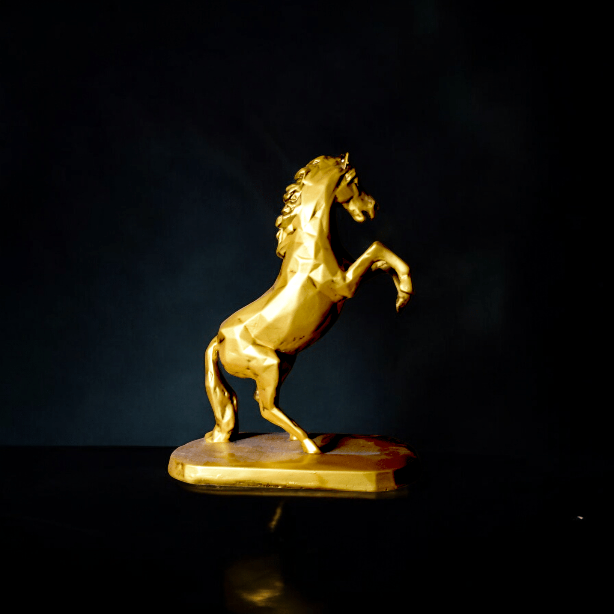Horse Standing on two feets -Big