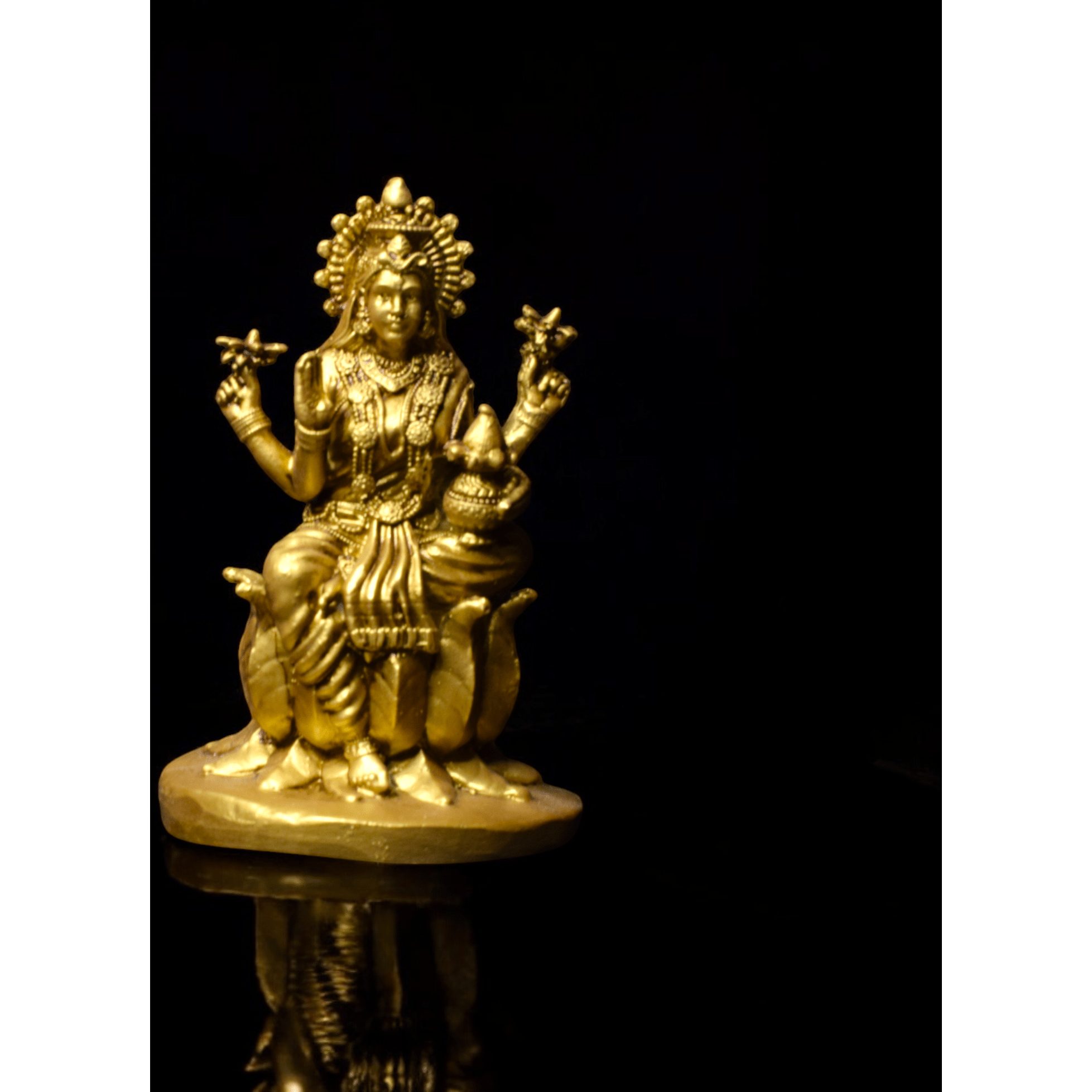 Laxmi ji on Lotus - Car dashboard