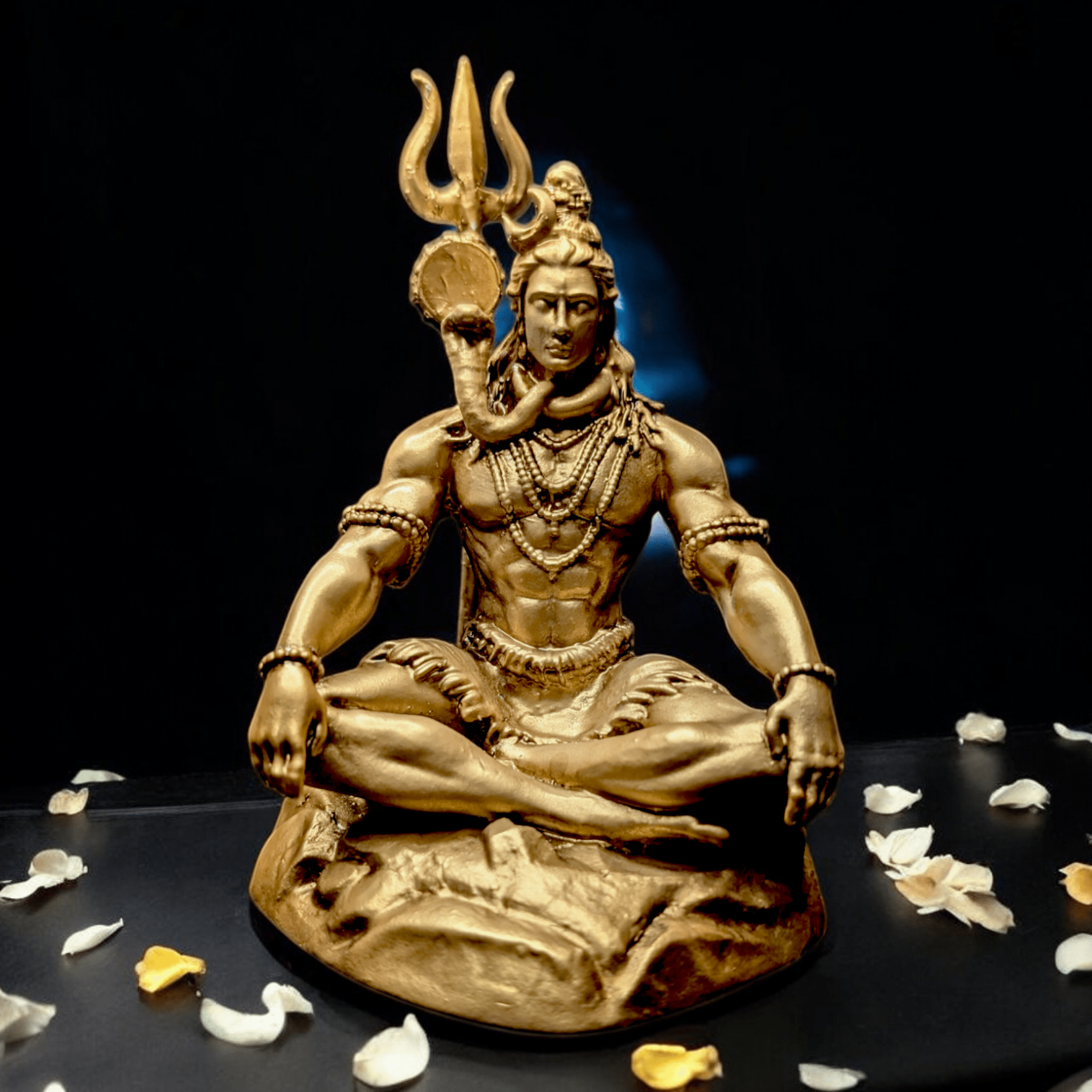 Shivji in Dhyan Mudra  Sacred Serenity and Spiritual Calm