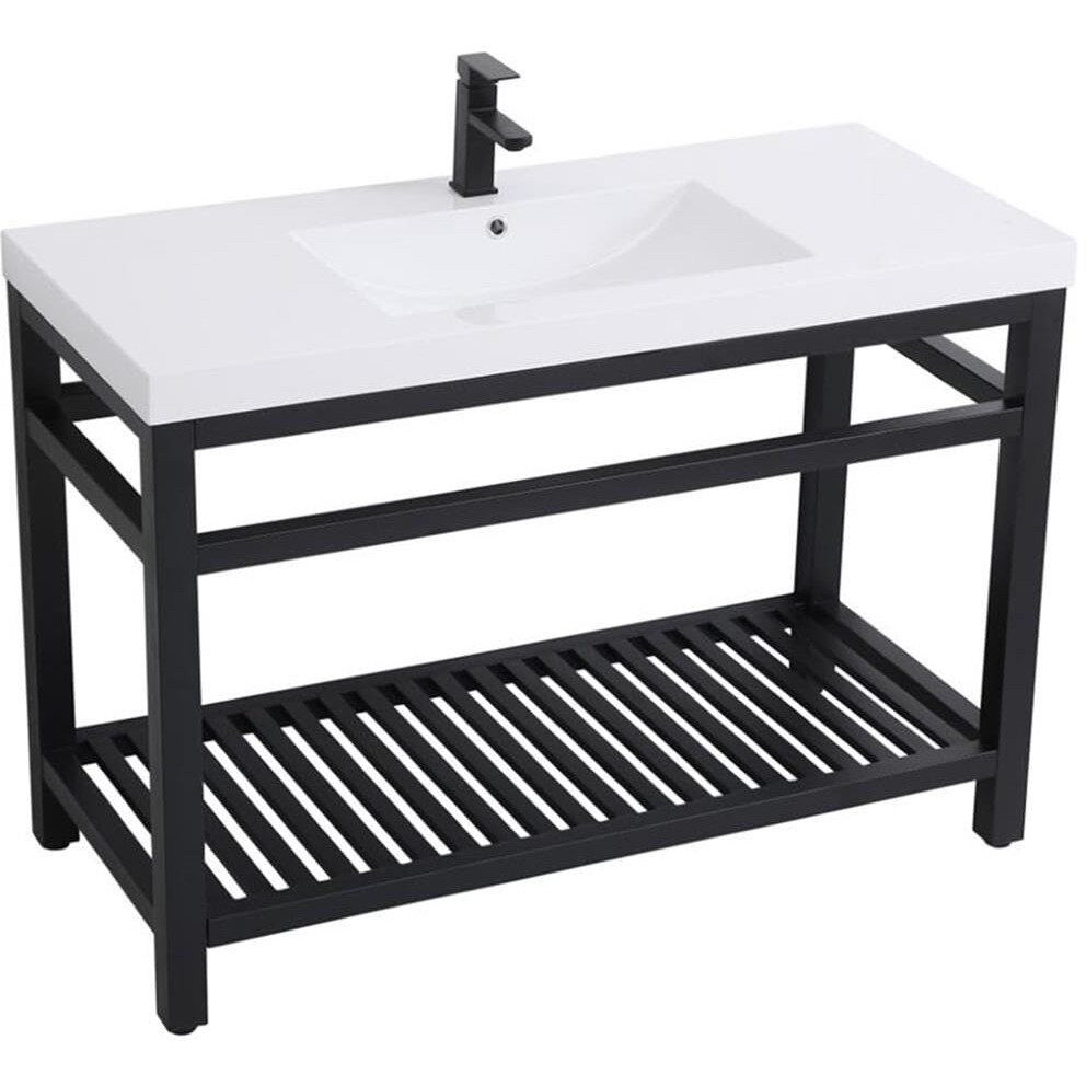Elegant Decor Raya 48" Single Resin Top Metal Bathroom Vanity in Black