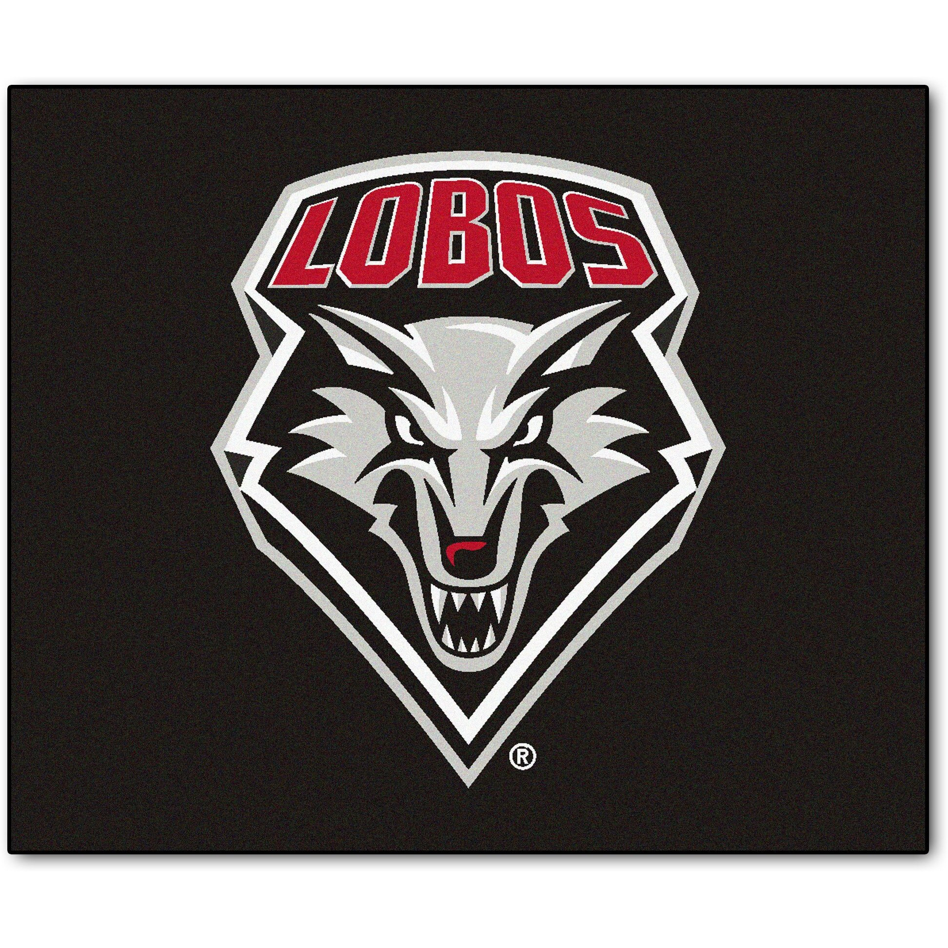 University Mexico Tailgater Rug