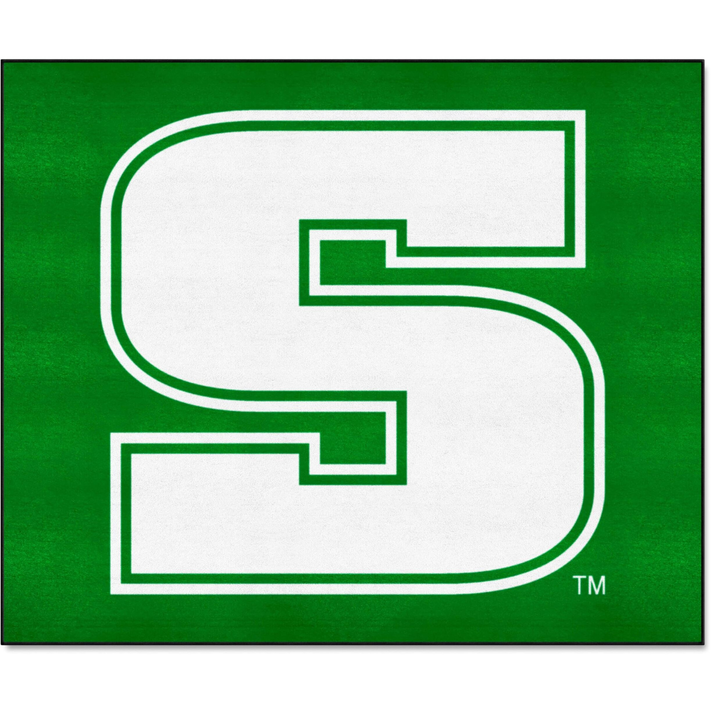 FANMATS 2918 Slippery Rock The Rock Tailgater Rug - 5ft. x 6ft. Sports Fan Area Rug, Home Decor Rug and Tailgating Mat