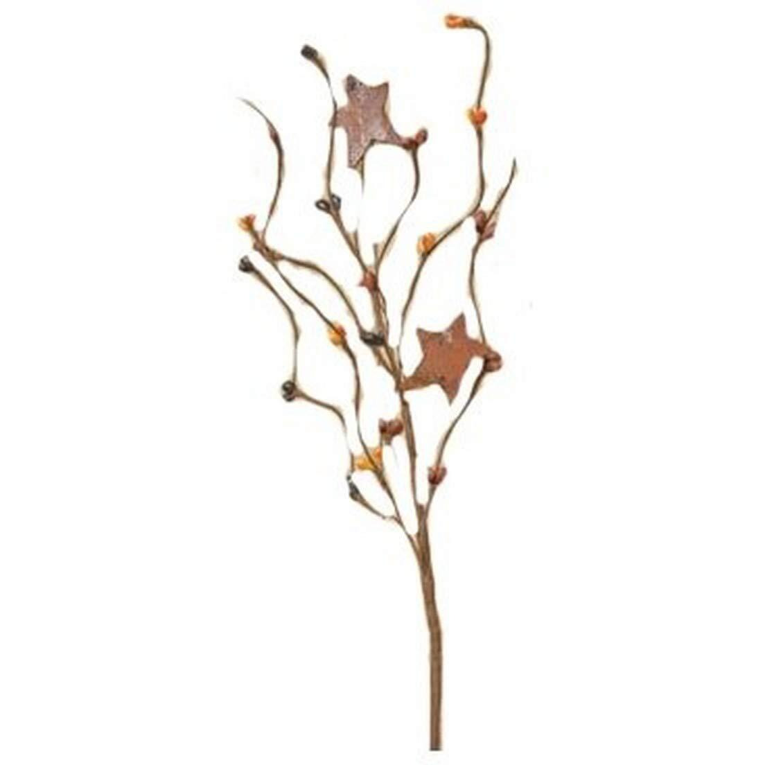 CWI Gifts 12-Piece Primitive Mix Pip Pick Set with Stars, 12-Inch