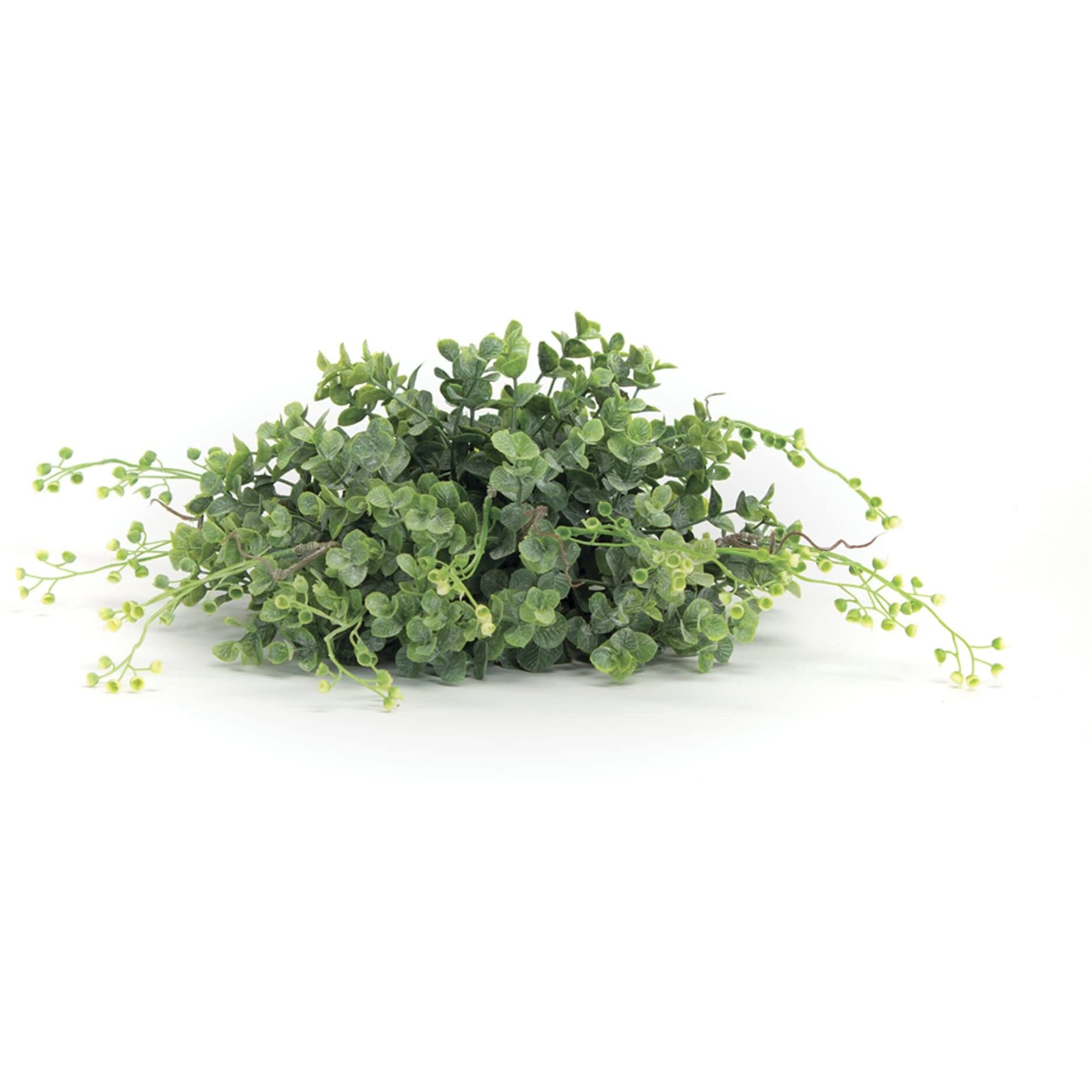 Melrose Intl. Boxwood Half Orb (Set of 6) 10" D Plastic